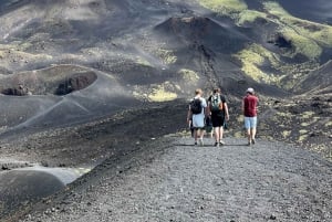 ETNA: TOUR GUIDATO DELL'ETNA CON PRELIEVO DA CATANIA