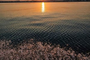 Excursión en barca da Avola a Marzamemi/Portopalo di Capo Passero