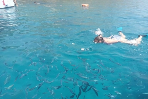 Tour in barca Riserva dello Zingaro da San Vito Lo Capo