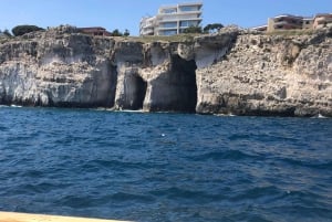 Tur med snorkling i havgrotterne og på øen Ortigia