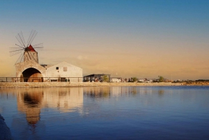 TOUR:FROM PALERMO TO SEGESTA, ERICE & TRAPANI