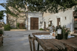 Традиционный урок приготовления пасты в живописной сельской местности Марсалы