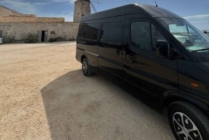 Transfert de/à l'aéroport de Palerme