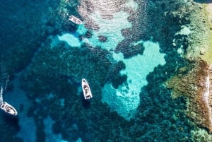 Trapani: Segeltour zu den Ägadischen Inseln mit Mittagessen und Wein