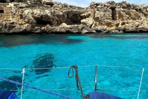 トラーパニ発エガディ諸島セーリングツアー(船上ランチ付き