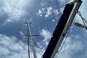 トラーパニ発エガディ諸島セーリングツアー(船上ランチ付き