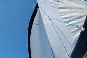 トラーパニ発エガディ諸島セーリングツアー(船上ランチ付き