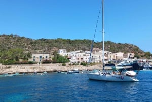 Trapani: Egadi Islands Sailing Trip with Lunch