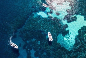 Trapani: passeio de barco híbrido por Favignana e Levanzo com aperitivo