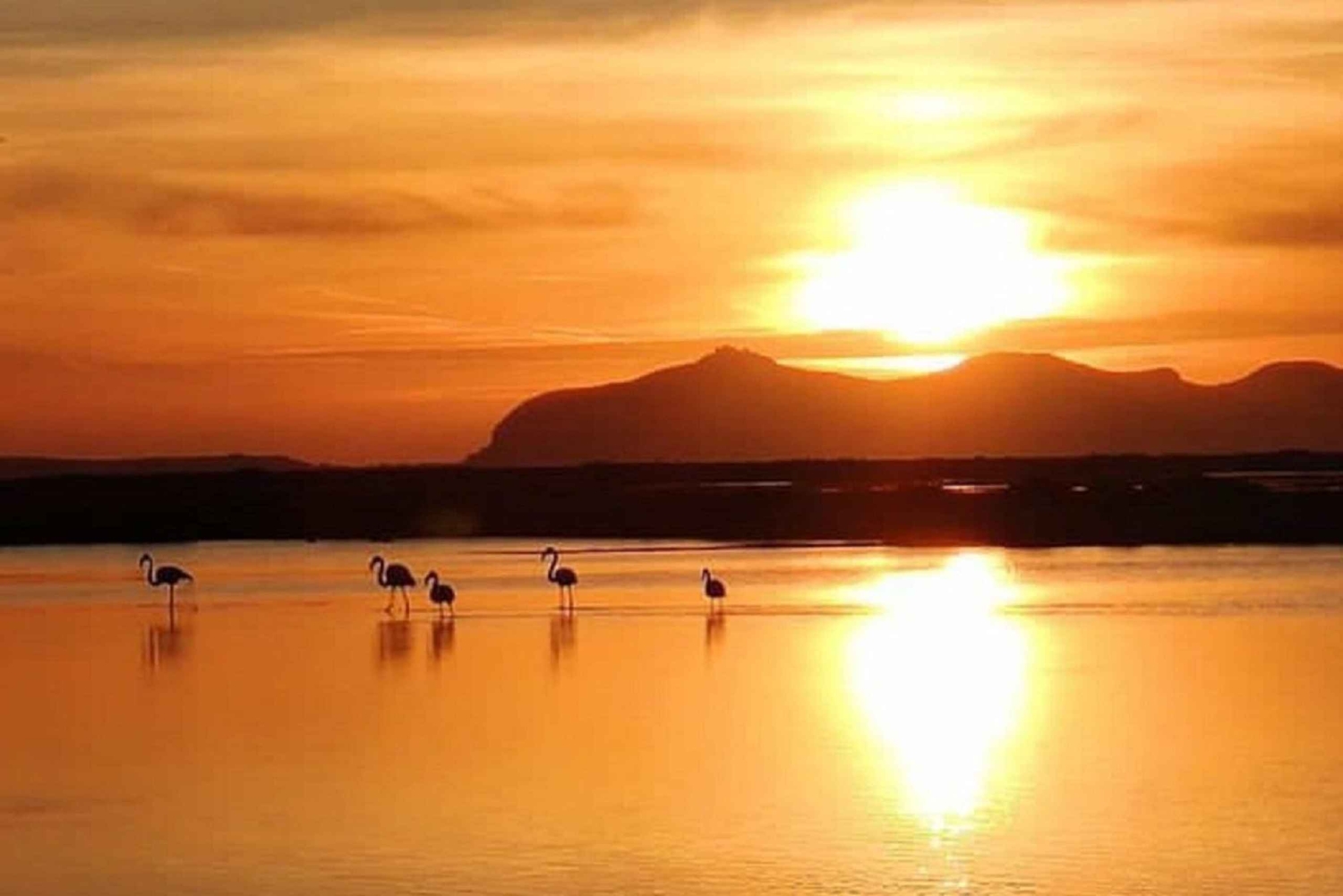 Trapani: Excursão às Salinas ao pôr do sol e Caminho dos Flamingos