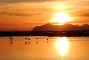 Trapani: Excursão às Salinas ao pôr do sol e Caminho dos Flamingos