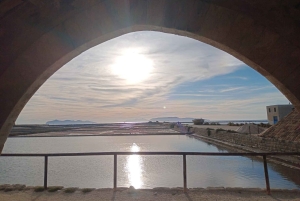 Trapani: Excursão às Salinas ao pôr do sol e Caminho dos Flamingos