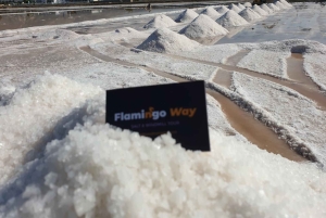 Trapani: Excursão às Salinas ao pôr do sol e Caminho dos Flamingos