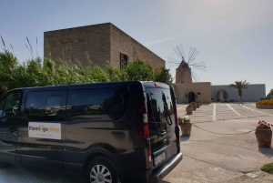 Trapani: Excursão às Salinas ao pôr do sol e Caminho dos Flamingos