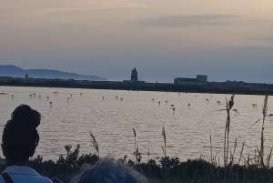 Trapani: Excursão às Salinas ao pôr do sol e Caminho dos Flamingos