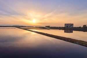 Trapani: Excursão às Salinas ao pôr do sol e Caminho dos Flamingos