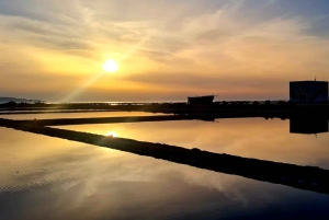 Trapani: Excursão às Salinas ao pôr do sol e Caminho dos Flamingos