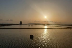 Trapani: Solnedgangstur i saltpannene og Flamingo Way