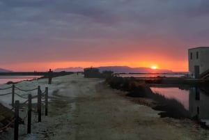 Trapani: Solnedgangstur i saltpannene og Flamingo Way