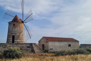 Trapani: Solnedgangstur i saltpannene og Flamingo Way