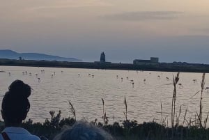 Trapani: Solnedgangstur i saltpannene og Flamingo Way