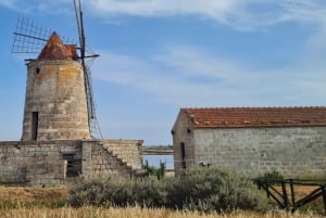 Trapani: Solnedgangstur i saltpannene og Flamingo Way