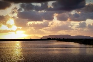 Trapani: Solnedgangstur i saltpannene og Flamingo Way