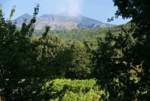 Trecastagni: Etna Vineyard Tour with Wine and food Tasting