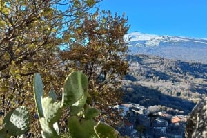 Trekking, pokój, degustacje, kolacja