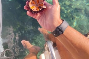 Tropea : excursion pour 8 personnes maximum, exclusive Costa degli Dei