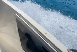 Tropea : excursion pour 8 personnes maximum, exclusive Costa degli Dei