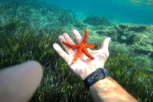 Tropea : excursion pour 8 personnes maximum, exclusive Costa degli Dei