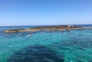 Tropea: Tour privato con skipper a Capo Vaticano