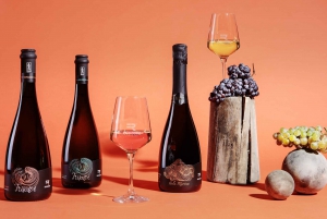 Marzamemi: Val di Noto Wine Tour, Wine Tasting & Aperitif