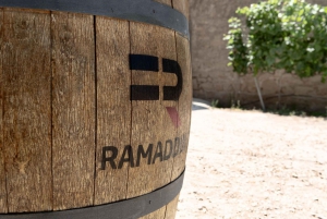 Marzamemi: Val di Noto Wine Tour, Wine Tasting & Aperitif