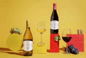 Marzamemi: Val di Noto Wine Tour, Wine Tasting & Aperitif