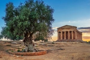 Templernes dal og Villa Romana - flersproget tur