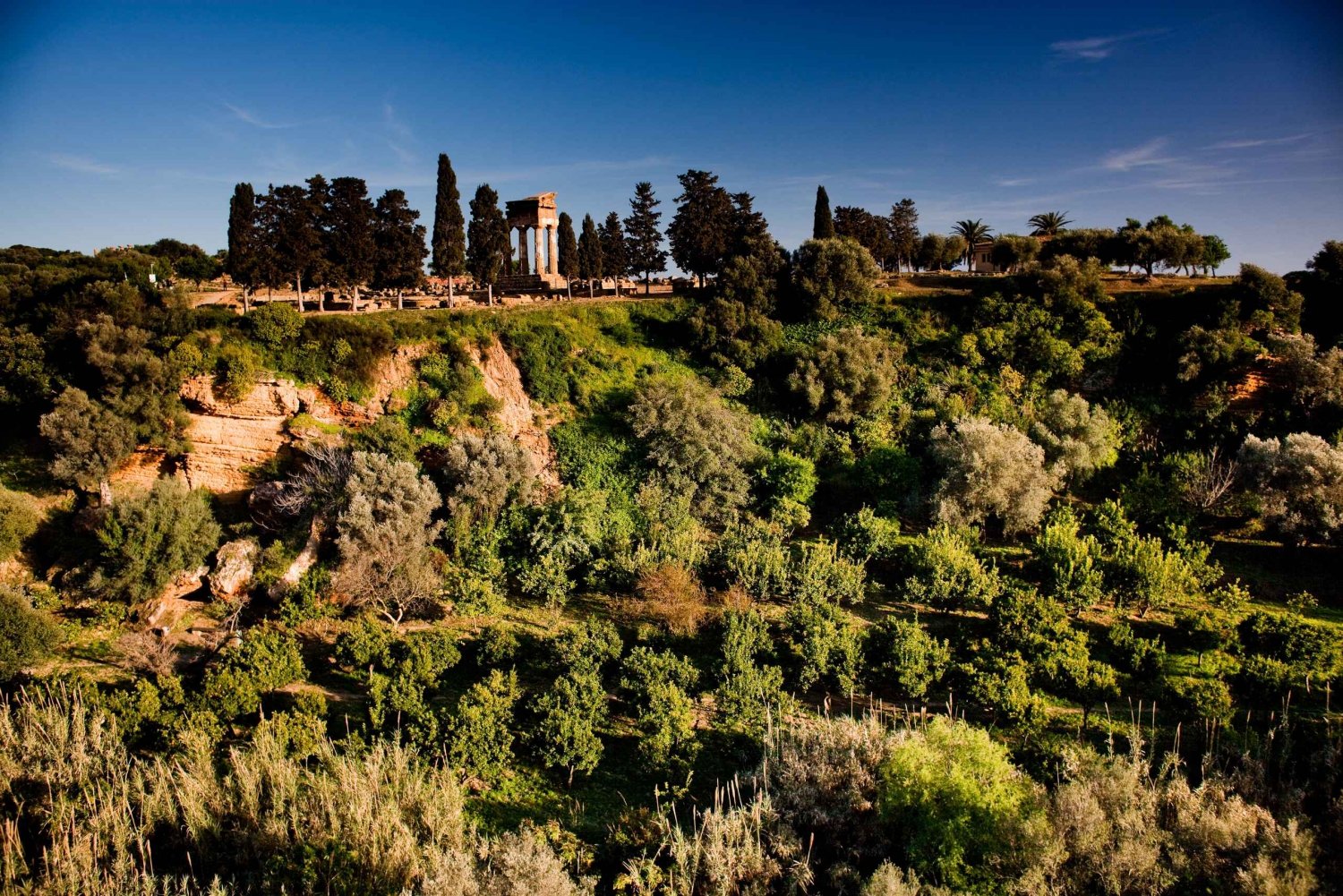 Valley of the Temples: Kolymbethra Garden Entry Ticket