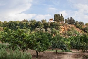 Templens dal: Entrébiljett till Kolymbethra Garden