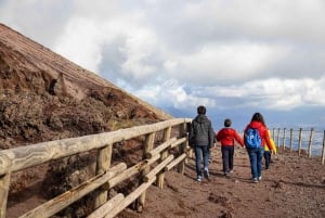 ヴェスヴィオ火山往復送迎付きスキップ・ザ・ライン・チケット