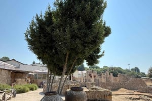 Villa Romana del Casale Visite guidée exclusive