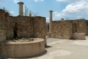 Piazza Armerina: Villa Romana del Casale Opastettu kierros