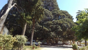 Villa Trabia, Palermo