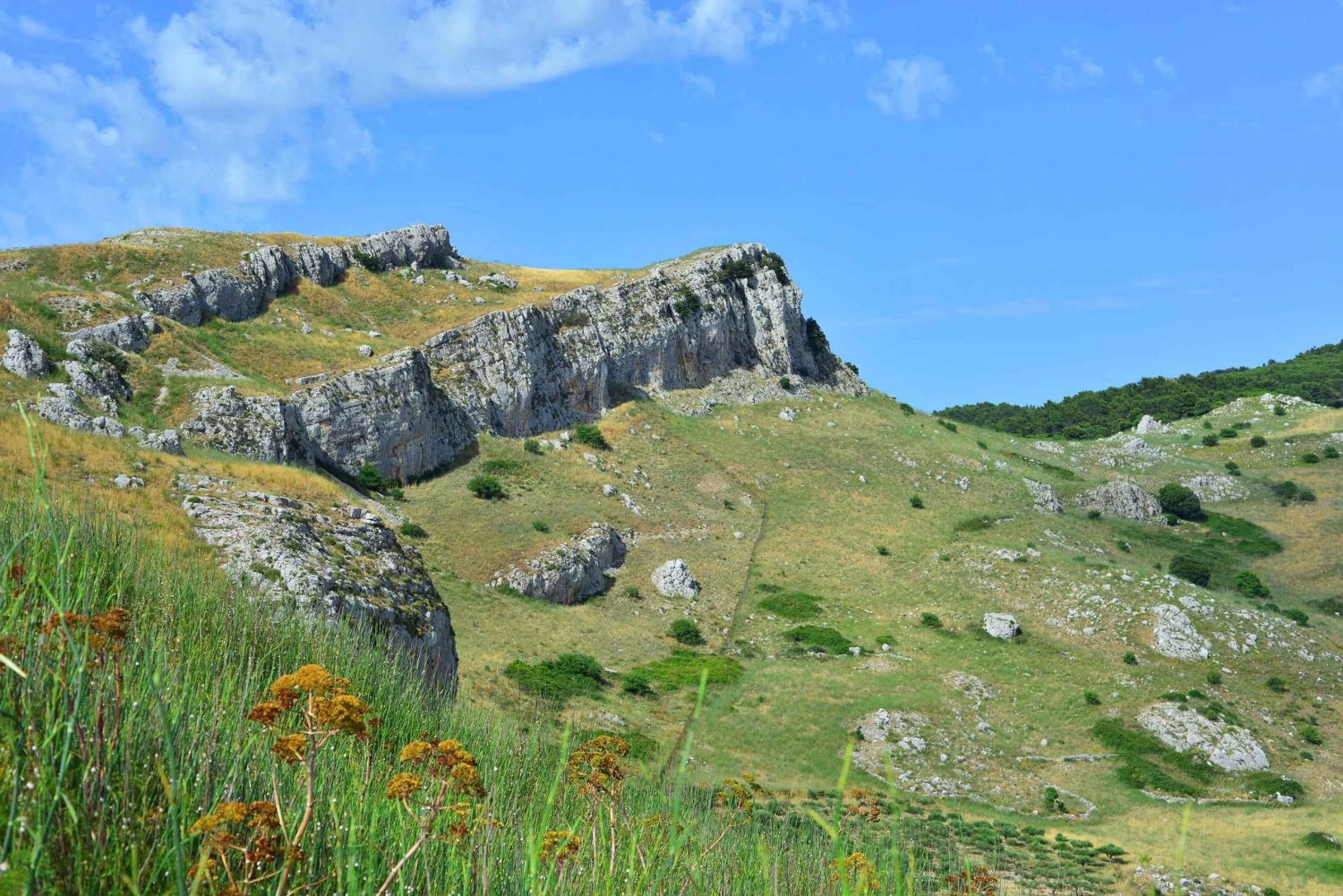 Visita Corleone da Palermo