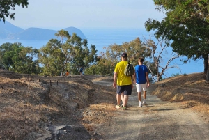 Volcano Island: Trekking among Volcanic Caves and Landscapes