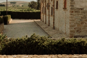 Viinitarhakävely ja maistelu