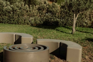 Viinitarhakävely ja maistelu