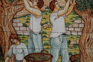 Viinitarhakävely ja maistelu