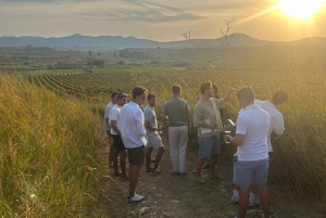 Viinitarhakävely ja maistelu