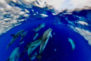 Isola Bella-Blue Grotto: Boat Tour, Snorkeling & Aperitif